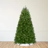 Northlight Pre-Lit Full Northern Pine Artificial Commercial Christmas Tree - 14' - Clear Lights -Christmas Decorations Store GUEST 03b552fd 46f2 4b06 b492 8accfc1b7161