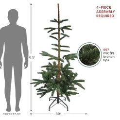 Northlight Real Touch™️ Slim Nordmann Fir Layered Artificial Christmas Tree - 6.5' - Unlit 9 Northlight Real Touch™️ Slim Nordmann Fir Layered Artificial Christmas Tree - 6.5' - Unlit -Christmas Decorations Store GUEST 104e383f 8ed6 4fc5 9a5d d480e25ac58c