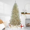 Northlight 7' Prelit Artificial Christmas Tree Metallic Sheer Champagne Tinsel - Clear Lights -Christmas Decorations Store GUEST 13ec7b37 27d7 4cb6 8384 0d67cb18fdd3