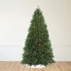 Northlight Pre-Lit Full Northern Pine Commercial Artificial Christmas Tree - 14' - Multi-Color Lights