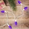 Northlight 25 Count Purple LED C9 Christmas Lights, 16 Ft White Wire -Christmas Decorations Store GUEST 2851f8e9 952a 488a b3b2 03ce7a892079