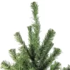 Northlight Canadian Pine Medium Artificial Christmas Tree - 5' - Unlit -Christmas Decorations Store GUEST 2c7a7082 d7ac 40f4 8d30 a0bc23e31db0
