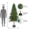 Northlight Pre-Lit Medium Alpine Artificial Christmas Tree - 7' - Clear Lights 1 Northlight Pre-Lit Medium Alpine Artificial Christmas Tree - 7' - Clear Lights -Christmas Decorations Store GUEST 356ac3b7 cd5a 402a a5fc f6cb1099d337