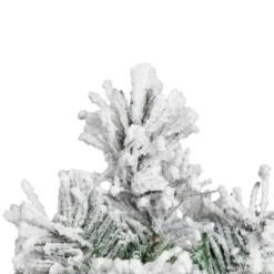 Northlight Full Flocked Angel Pine Artificial Mini Christmas Tree - 24" - Unlit -Christmas Decorations Store GUEST 3656ea20 cdd0 41b4 baab 2e0a2d4a7b00