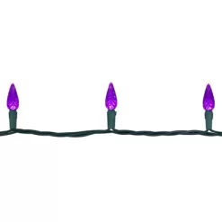 Northlight 70-Count Purple LED Faceted C6 Christmas Lights Set, 23 Ft Green Wire -Christmas Decorations Store GUEST 42aa377a 44db 41bb a70e c55f93c68dec