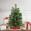 Northlight 2' Prelit Artificial Christmas Tree Canadian Pine - Multicolor LED Lights -Christmas Decorations Store GUEST 46f65134 9941 4c50 b51f 3a1cc33ec63e