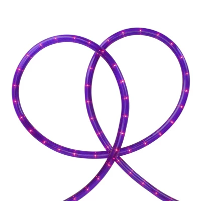 Northlight Flexible Outdoor Incandescent Christmas Rope Lights - Purple - 18' Clear Wire 4 Northlight Flexible Outdoor Incandescent Christmas Rope Lights - Purple - 18' Clear Wire - Image 2