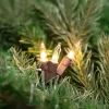 Northlight Mini Christmas Light Set - Clear - 4' Brown Wire - 10ct -Christmas Decorations Store GUEST 5a06ba21 866f 4d2b 983b 0f152cb9f4c4 1