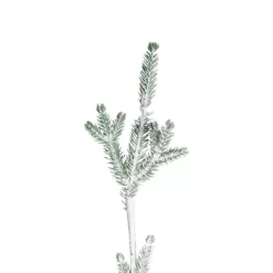 Northlight Frosted Slim Pine Artificial Christmas Tree In Burlap Base - 5' - Unlit -Christmas Decorations Store GUEST 5d453374 117a 4f38 af96 e1e67b72a47b