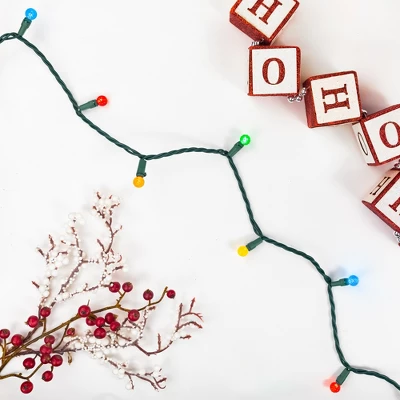 Northlight LED G12 Berry Christmas Lights - Multicolor - 16' Green Wire - 50 Ct 4 Northlight LED G12 Berry Christmas Lights - Multicolor - 16' Green Wire - 50 Ct - Image 2