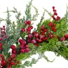 Northlight Frosted Red Berries Artificial Christmas Wreath - 26-Inch, Unlit -Christmas Decorations Store GUEST 642d9ccd 30ae 43b2 8a8b 8ec6943aac36