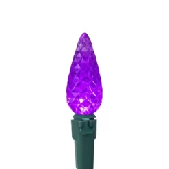 Northlight 70-Count Purple LED Faceted C6 Christmas Lights Set, 23 Ft Green Wire -Christmas Decorations Store GUEST 69ddc7fc db95 4fd0 9b2b 9f95ed669fdb
