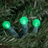 Northlight LED G12 Berry Christmas Lights - Green - 16' Green Wire - 50 Ct -Christmas Decorations Store GUEST 6d865f69 800c 4110 86bb fd5e4d1c3133