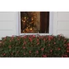 Northlight Mini Net Style Incandescent Christmas Lights - 4' X 6' - Red - Green Wire -Christmas Decorations Store GUEST 73e9bd2a 6688 4e17 8b34 fcf7d6dafcb2