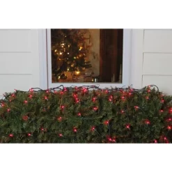 Northlight Mini Net Style Incandescent Christmas Lights - 4' X 6' - Red - Green Wire