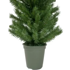 Northlight 4' Potted Virginia Pine Walkway Slim Artificial Christmas Tree - Unlit 10 Northlight 4' Potted Virginia Pine Walkway Slim Artificial Christmas Tree - Unlit -Christmas Decorations Store GUEST 975bc0b7 5b18 4dd1 9808 136bc2d036eb