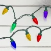 Northlight 50 Multi-Color LED C7 Mini Christmas Lights, 20.25 Ft Green Wire -Christmas Decorations Store GUEST a87727a7 48f5 42b5 a933 3a240237a669