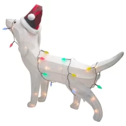Northlight LED Lighted Dachshund Dog In Santa Hat Outdoor Christmas Decoration - 32" - Multicolor -Christmas Decorations Store GUEST c7f38425 cf68 4685 b3fa e13ff0d01d02