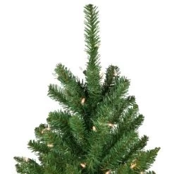 Northlight Pre-Lit Pencil White River Fir Artificial Christmas Tree - 6.5' - Clear Lights 9 Northlight Pre-Lit Pencil White River Fir Artificial Christmas Tree - 6.5' - Clear Lights -Christmas Decorations Store GUEST c894beb1 1b7c 4d9f beff df2ef822009f