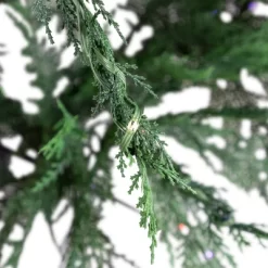 Northlight Pre-Lit Medium Weeping Cedar IPT Artificial Christmas Tree - 6.5' - Dual Color LED Lights -Christmas Decorations Store GUEST d1c63646 f460 4a3a 8c6c 8fbb6bfcea87