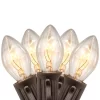 Northlight C7 Christmas String Lights - Clear - 24' Brown Wire - 25ct 2 Northlight C7 Christmas String Lights - Clear - 24' Brown Wire - 25ct -Christmas Decorations Store GUEST d861c438 3a88 4a59 a742 22fb444c67b5