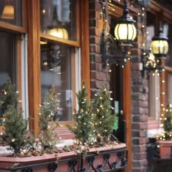 Northlight Mini Incandescent Christmas Lights - Clear - 20.25' Green Wire - 100ct