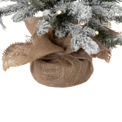Northlight Real Touch™ Pre-Lit B/O Tamarack Pine Artificial Christmas Tree With Burlap - 2' Warm White LED 12 Northlight Real Touch™ Pre-Lit B/O Tamarack Pine Artificial Christmas Tree With Burlap - 2' Warm White LED -Christmas Decorations Store GUEST e7d34180 7e9d 4837 b522 c67dedd5279c