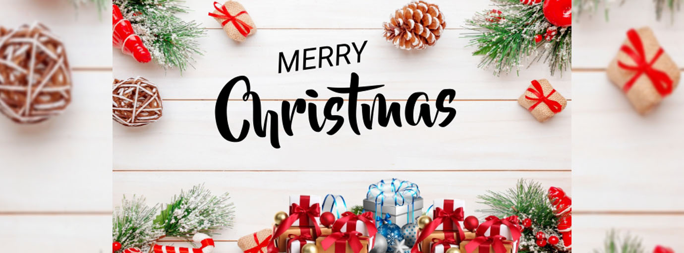 Christmas Decorations Store -Christmas Decorations Store 5